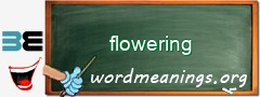 WordMeaning blackboard for flowering